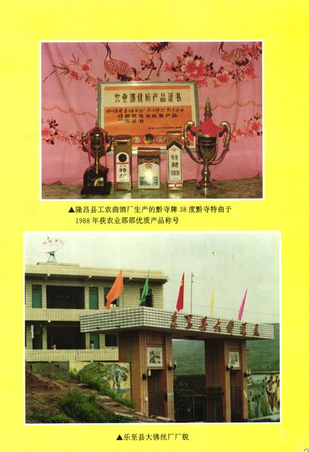 《内江地区乡镇企业志》.pdf电子版_四川省志插图4