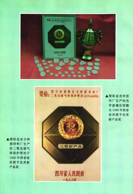 《内江地区乡镇企业志》.pdf电子版_四川省志插图5