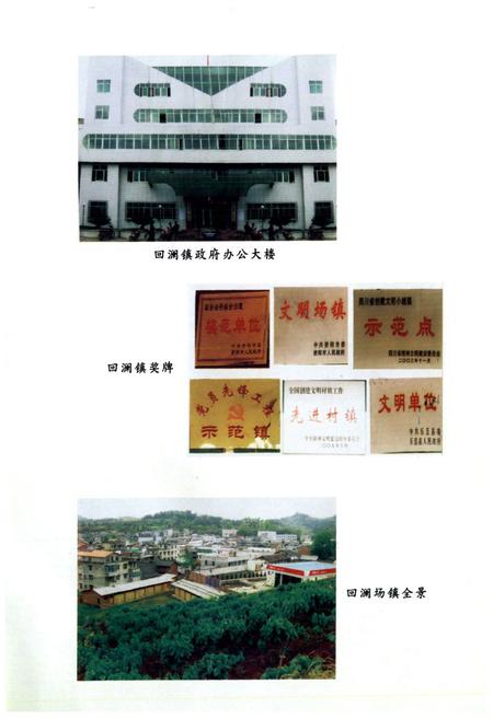 《乐至县回澜镇志(1986-2005)》.pdf电子版_四川省志插图4