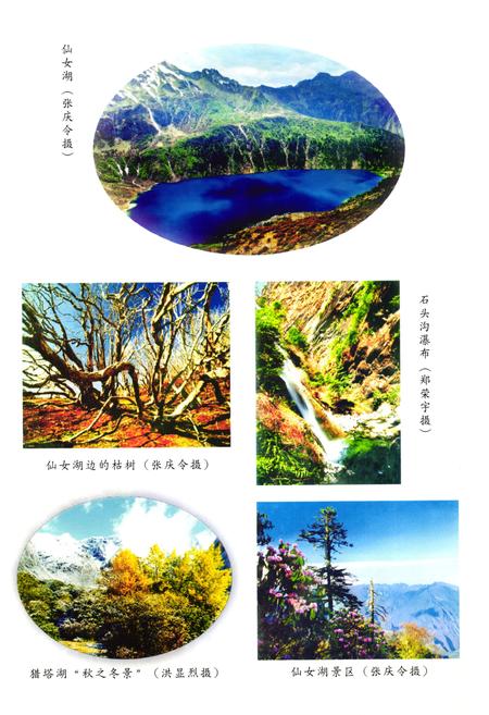 《九龙县民族志》.pdf电子版_四川省志插图3