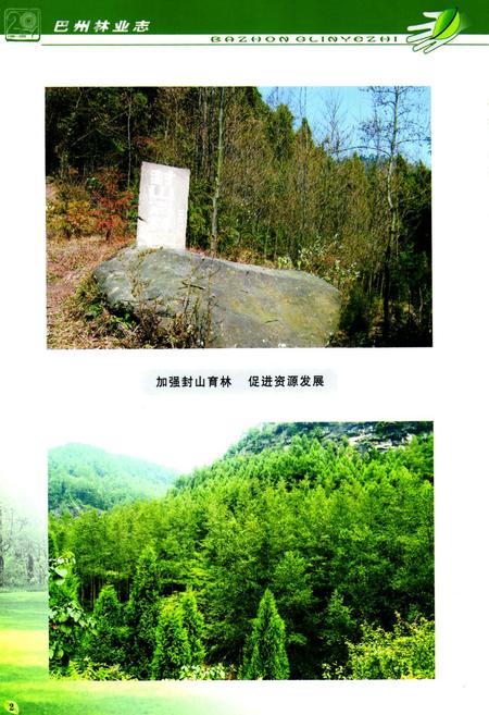 《巴中市巴州区林业志(1986-2005)》.pdf电子版_四川省志插图3