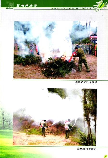 《巴中市巴州区林业志(1986-2005)》.pdf电子版_四川省志插图4