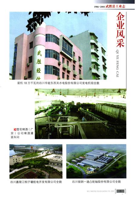 《武胜县工业志(1986-2005)》.pdf电子版_四川省志插图2