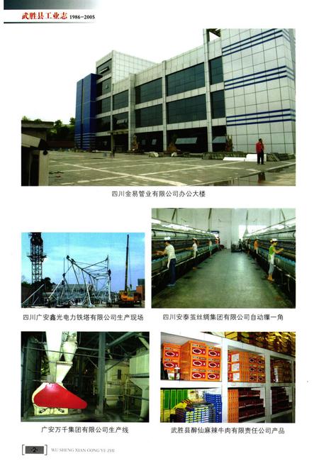 《武胜县工业志(1986-2005)》.pdf电子版_四川省志插图3