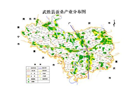 《武胜县蚕桑志(1986-2005)》.pdf电子版_四川省志插图5