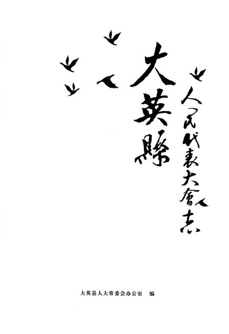 《大英县人民代表大会志》.pdf电子版_四川省志插图1