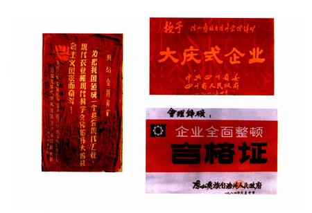 《会理锌矿志(1702-1985)》.pdf电子版_四川省志插图3