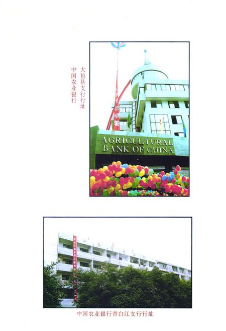 《成都农村金融志》.pdf电子版_四川省志插图5