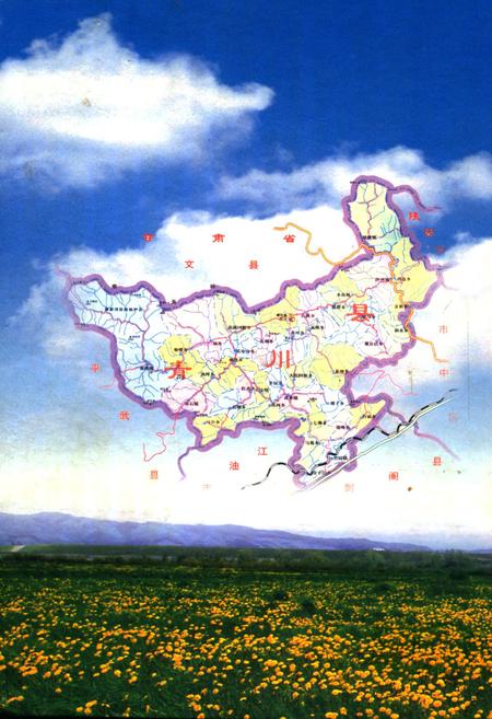 《青川县志县关心下一代工作委员会志(1992-2005)》.pdf电子版_四川省志插图3