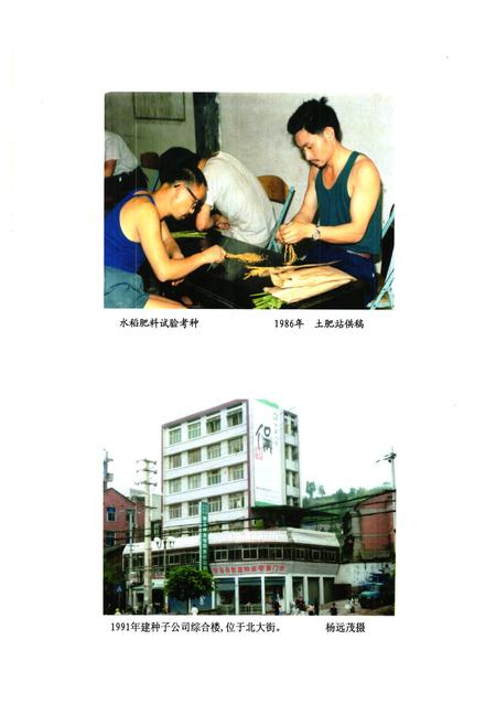 《安岳县农业局志(1986-2005)》.pdf电子版_四川省志插图2