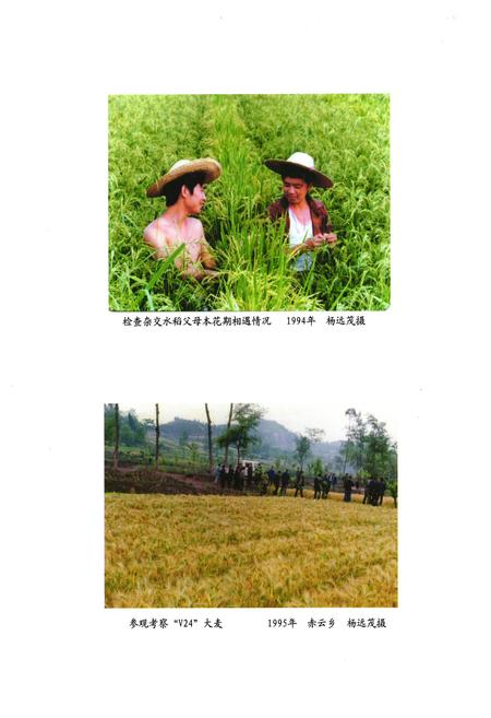 《安岳县农业局志(1986-2005)》.pdf电子版_四川省志插图3