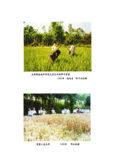 《安岳县农业局志(1986-2005)》.pdf电子版_四川省志插图4