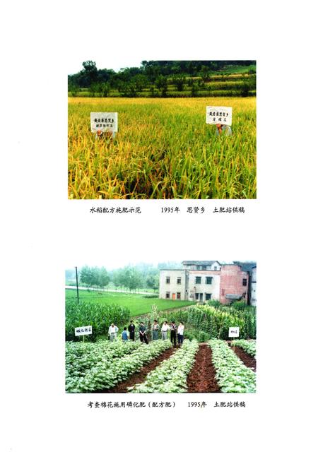 《安岳县农业局志(1986-2005)》.pdf电子版_四川省志插图5