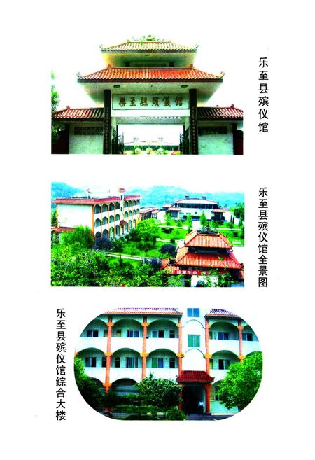 《乐至县民政志(1986-2005)》.pdf电子版_四川省志插图4
