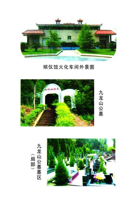 《乐至县民政志(1986-2005)》.pdf电子版_四川省志插图5