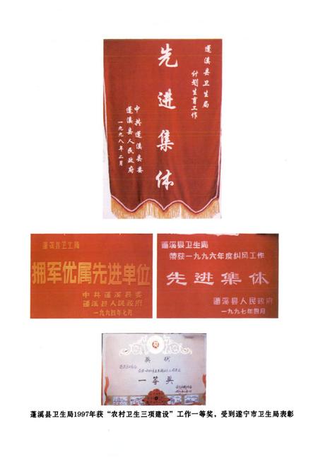《蓬溪县卫生志(1986-2005)》.pdf电子版_四川省志插图3