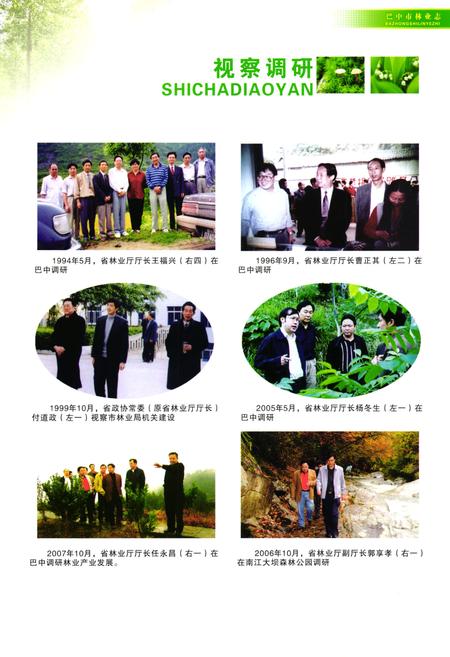 《巴中市林业志(1910~2005)》.pdf电子版_四川省志插图4