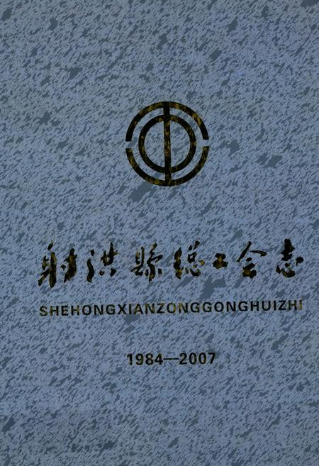 《射洪县总工会志(1984-2007)》.pdf电子版_四川省志插图