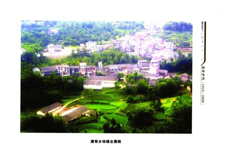 《鹰背乡志(1913-2009)》.pdf电子版_四川省志插图4