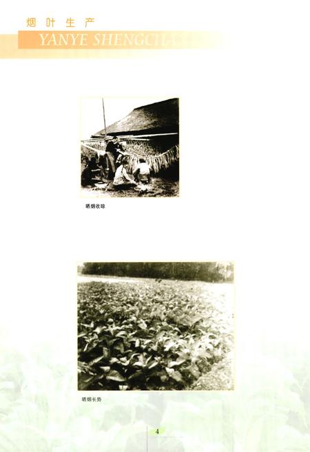 《都江堰市烟草志》.pdf电子版_四川省志插图5