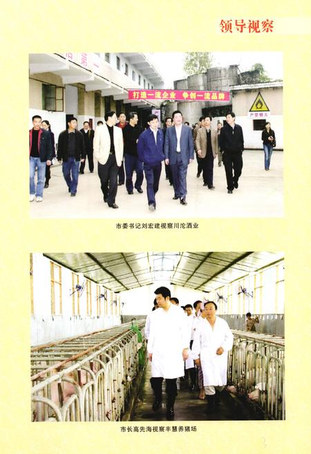《西充县商务志(1986-2005)》.pdf电子版_四川省志插图5