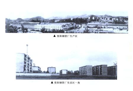 《四川石油管理局资阳钢管厂志》.pdf电子版_四川省志插图3