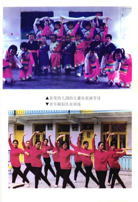 《马尔康县文化馆志》.pdf电子版_四川省志插图5