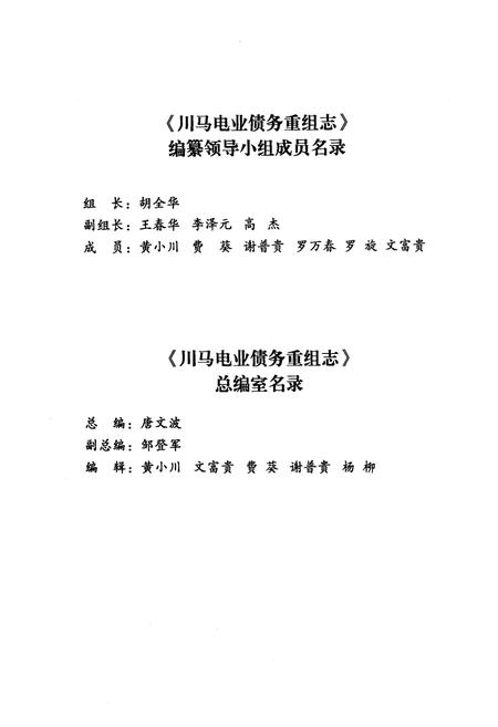 《川马电业债务重组志》.pdf电子版_四川省志插图3