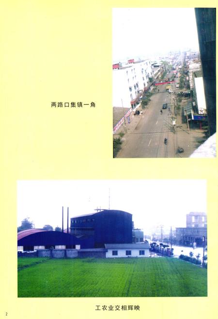 《两路口镇志》.pdf电子版_四川省志插图4