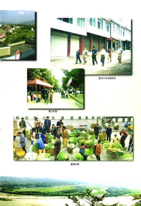《菜坝镇志(1949-2000)》.pdf电子版_四川省志插图5