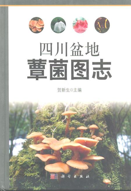 《四川盆地蕈菌图志》.pdf电子版_四川省志插图