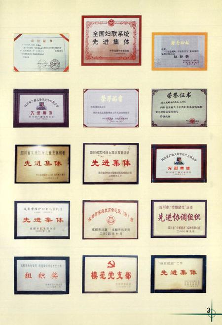 《双流县妇女工作志(2005年本)》.pdf电子版_四川省志插图4
