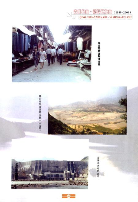 《《青川县志移民开发志(1989-2004)》》.pdf电子版_四川省志插图5