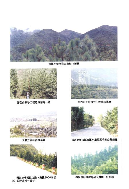 《《汉源县林业志(1986~2005)》》.pdf电子版_四川省志插图4