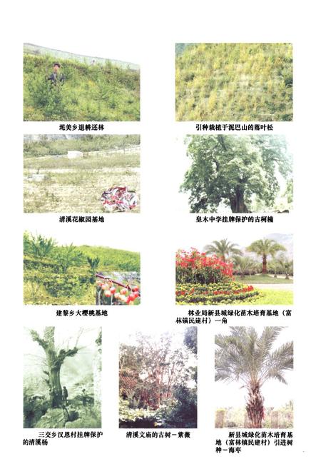 《《汉源县林业志(1986~2005)》》.pdf电子版_四川省志插图5