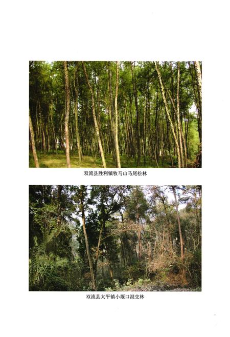 《双流县城乡园林绿化志(2005年本)》.pdf电子版_四川省志插图4