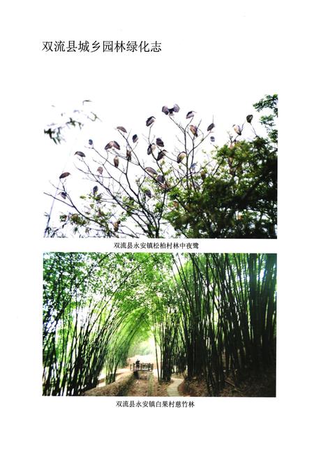 《双流县城乡园林绿化志(2005年本)》.pdf电子版_四川省志插图5