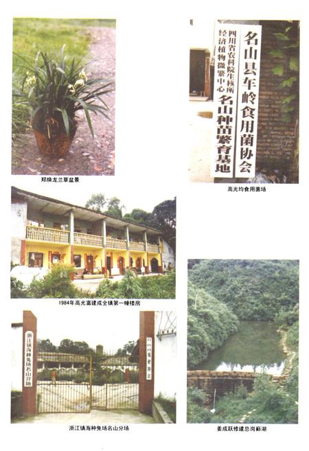 《车岭镇志》.pdf电子版_四川省志插图5