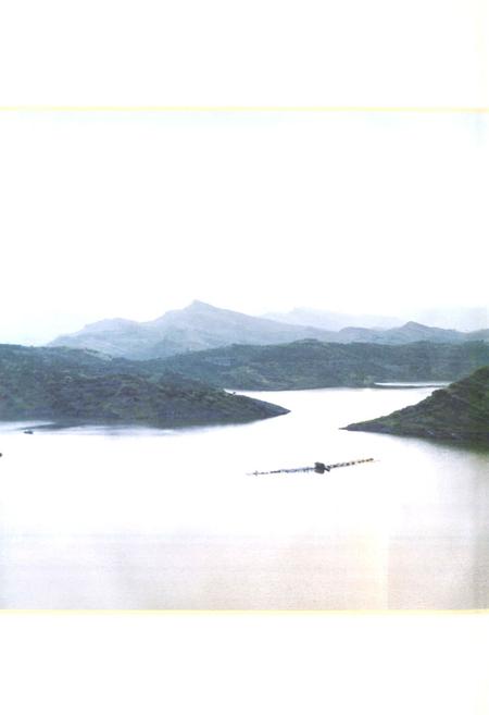 《达州水利志(1949-2006)》.pdf电子版_四川省志插图2
