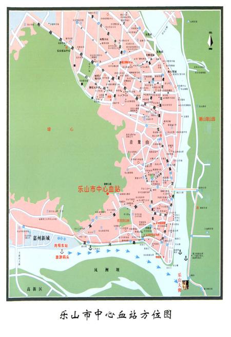 《《乐山市中心血站志(1986-2006)》》.pdf电子版_四川省志插图5