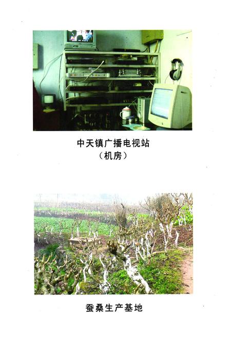 《《乐至县中天镇志(1949.10-2005.12)》》.pdf电子版_四川省志插图5