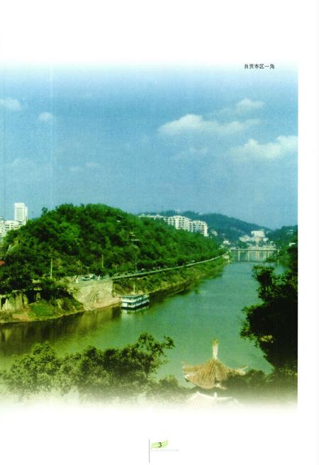 《自贡市烟草志》.pdf电子版_四川省志插图4