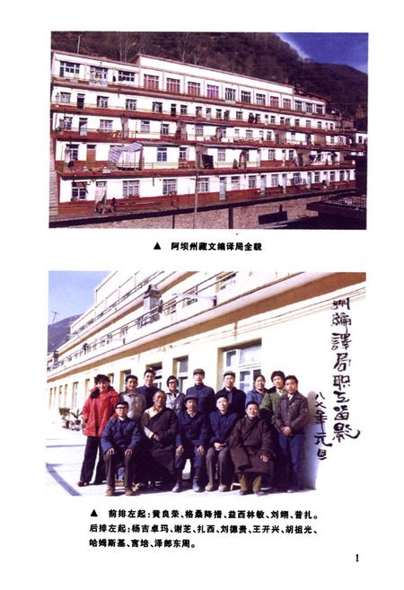 《藏文编译志》.pdf电子版_四川省志插图4