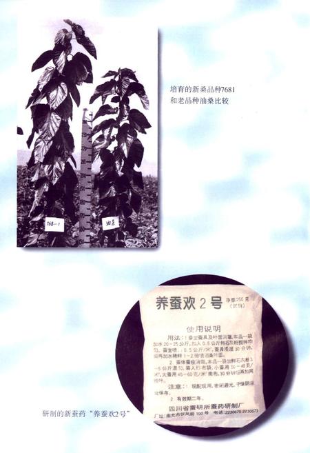 《四川省农业科学院蚕业研究所所志》.pdf电子版_四川省志插图5