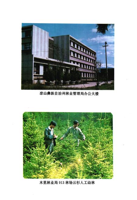 《凉山彝族自治州林业管理局志》.pdf电子版_四川省志插图5