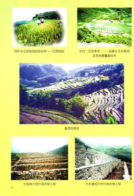《兴文县农业志》.pdf电子版_四川省志插图5