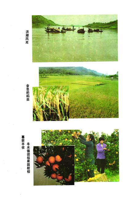 《邻水县人民政府志》.pdf电子版_四川省志插图5