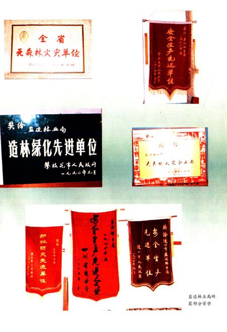 《《攀枝花市盐边林业局志》》.pdf电子版_四川省志插图4