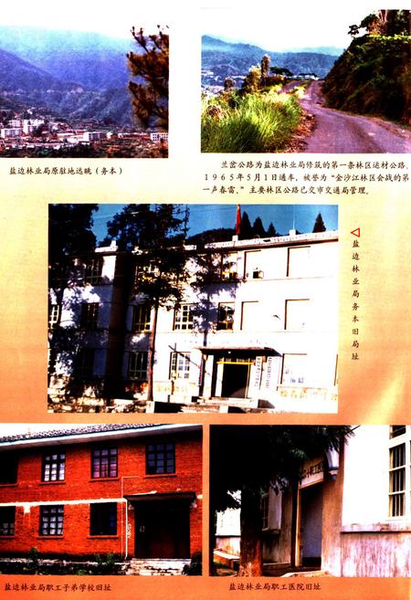 《《攀枝花市盐边林业局志》》.pdf电子版_四川省志插图5
