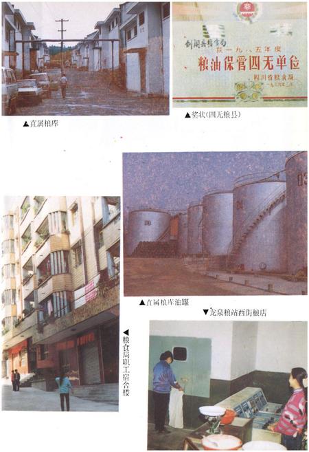 《《剑阁县粮油志》》.pdf电子版_四川省志插图5